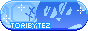 catbyte.site button